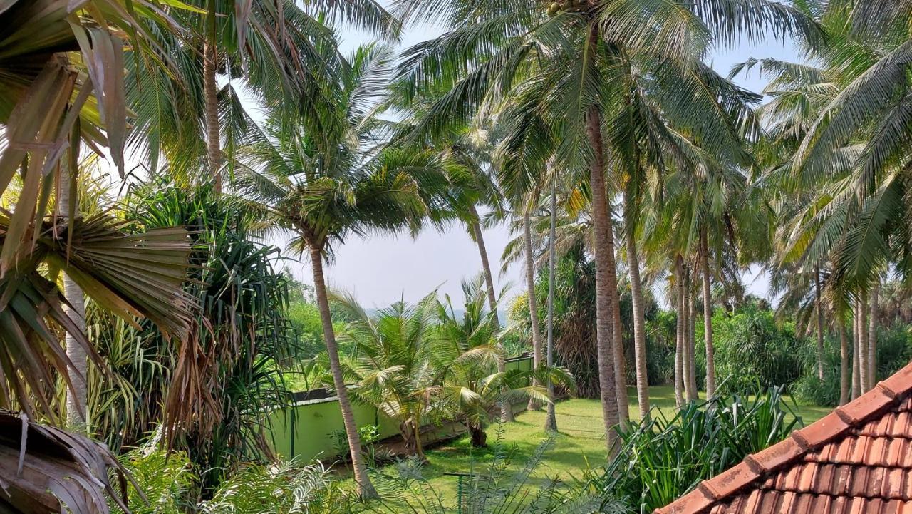 Bandulas Beach House Hikkaduwa Ngoại thất bức ảnh